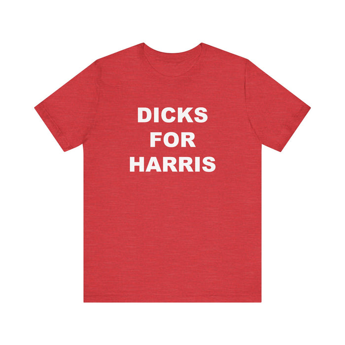 Dicks for Kamala, Funny Kamala Shirt, Awesome Republican Shirt, Perfect Kamala Gift, Dick Cheney