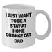 Funny Orange Cat Dad Gifts for Orange Cat Lovers, White Coffee Mug for Men, I Just Want To Be A Stay At Home Orange Cat Dad, Father's Day Unique Gifts from Family - Additional