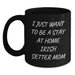 Irish Setter Dog Gifts, Funny Quote Mug, Gifts from Friends for Irish Setter Dog Lover Birthday, Black Coffee Mug - I Just Want To Be A Stay At Home Mom - Main