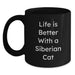 Funny Siberian Cat Lovers Gifts from Friends to Family - Life Is Better With A Siberian Cat Black Coffee Mug, Birthday Unique Gifts for Women Men - Main