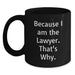 Funny Lawyer Gifts from Friends, Unique Valentine's Unique for Lawyer, Black Coffee Mug Because I Am The Lawyer. That's Why. - Main
