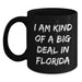 Funny Quote Coffee Mugs for Florida Lovers Gifts from Friends to Family Valentine's Unique - Main