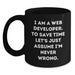 Funny Web Developer Gifts - I'm Never Wrong Black Coffee Mug for Men, Unique Father's Day Unique Gifts from Family to Father, Web Developer Lover Mug - Main