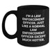 Funny Law Enforcement Officer Gifts for Birthday, 'I'm A Law Enforcement Officer. Just Like A Normal Law Enforcement Officer Except Much Hotter.' Black Coffee Mug from Men to Friends - Main