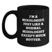 Mixologist Gifts Funny Quote Birthday Black Coffee Mug, Gifts from Friends to Mixologists, 11oz or 15oz Microwave Dishwasher Safe - Main