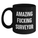 Funny Surveyor Gifts for Men, Unique Graduation Gift Ideas from Friends, Surveyor Black Coffee Mug with Amazing Quote - Main