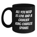Funny Cavalier King Charles Spaniel Dog Quote Gifts from Friends and Family for Christmas Unique Mugs - Main