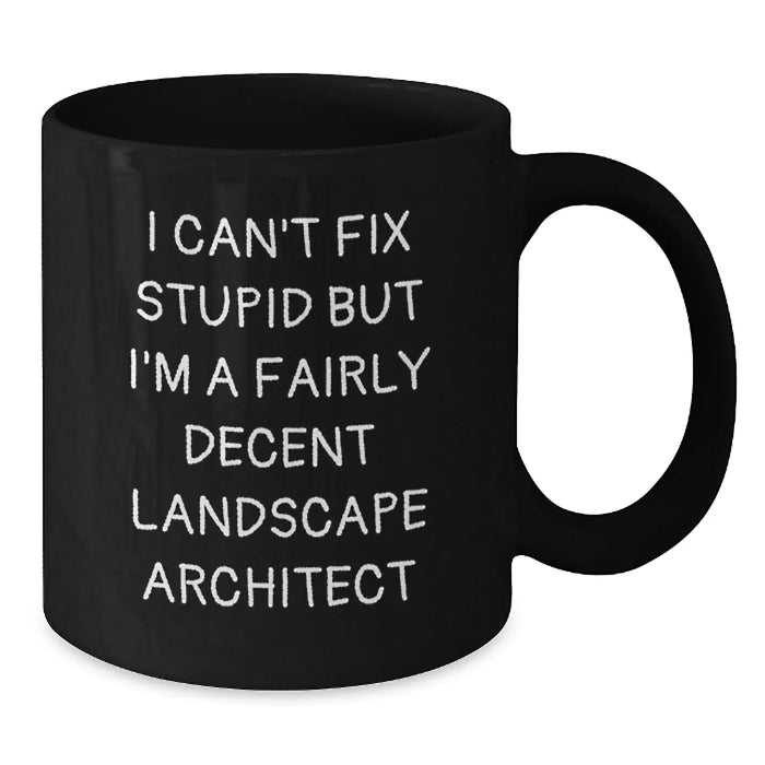 Funny Landscape Architect Gifts from Friends, Christmas Unique Black Coffee Mugs for Landscape Architects, I Can't Fix Stupid Mug - Additional