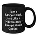 Funny Lawyer Dad Gifts from Men to Lawyer Friends on Graduation Unique Gifts - Additional