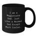 Funny Magistrate Gifts for Dad from Family - I Am A Magistrate Dad Ceramic Black Coffee Mug, 11oz or 15oz Graduation Unique - Additional