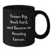 Gifts from Friends to Amazing Farmers - Dream Big Funny Inspirational Farmer Birthday Unique Gifts Black Coffee Mug - Additional