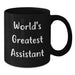 Funny World's Greatest Assistant Gifts for Birthday - Black Coffee Mug from Friends - Additional