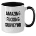 Funny Surveyor Gifts from Friends for Surveyor Men - Two Tone Coffee Mug, Amazing F--king Surveyor - Additional