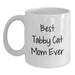 Funny Tabby Cat Mom Gifts from Family - Best Tabby Cat Mom Ever, White Coffee Mug for Birthday, 11oz or 15oz Capacity - Main