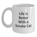 Funny Smoke Cat White Coffee Mug Gifts from Men to Friends on Birthday with Life Is Better With A Smoke Cat Quote - Main