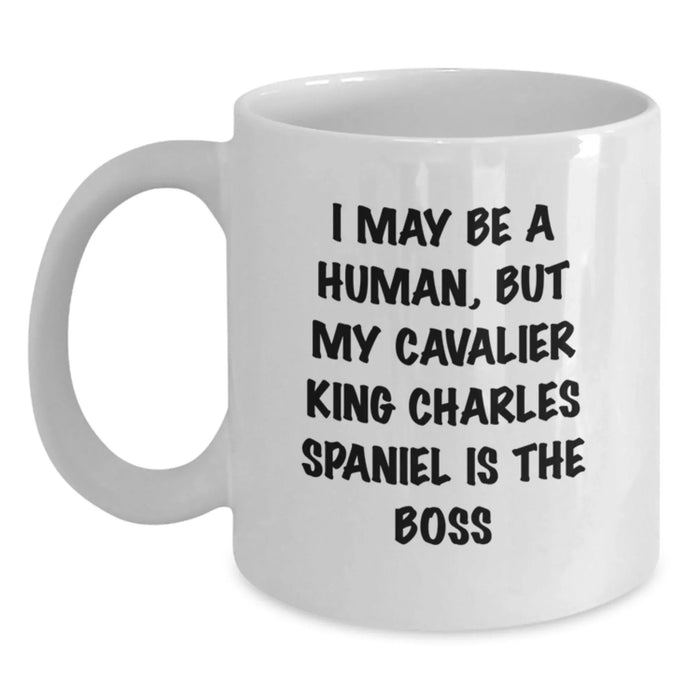 Funny Cavalier King Charles Spaniel Dog Gifts for Birthday, White Coffee Mug, I May Be A Human But My Cavalier King Charles Spaniel Is The Boss, Gifts from Friends to Family - Main