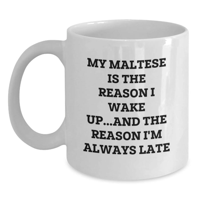 Funny Maltese Dog White Coffee Mugs Gifts from Men to Women Friends Family - Valentine's Unique - Main