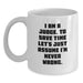 Funny Judge Gift - I'm Never Wrong White Coffee Mug for Birthday Unique Gifts from Friends to Judge - Main