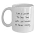 Funny Lawyer White Coffee Mug for Lawyer Birthday Unique Gifts from Friends or Family - Gift for Lawyer - Main