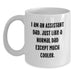Funny Assistant Gifts from Friends - White Coffee Mug for Assistant Dads Birthday Unique Gifts - Main