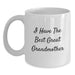 Funny Grandmother Gifts White Coffee Mugs I Have The Best Great Grandmother, Gifts from Family to Grandmother, Unique Birthday Unique Gifts for Her - Main