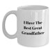 Funny Grandfather Gifts for Men, I Have The Best Great Grandfather White Coffee Mug, Birthday Unique Gifts from Family, Unique Gift Ideas for Grandfather - Main