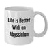 Abyssinian Cat Lovers Gifts, Funny White Coffee Mug, 'Life Is Better With An Abyssinian', Gifts from Family, for Abyssinian Cat Enthusiasts, Birthday Unique Gifts - Additional