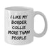 Funny Border Collie Dog Lovers Gifts from Family and Friends - I Like My Border Collie More Than People Quote on White Coffee Mug, Perfect Birthday Unique Gift for Border Collie Dog Enthusiasts - Additional