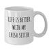Gifts from Family for Irish Setter Dog Lover - Life Is Better With My Irish Setter White Coffee Mug - Birthday Unique Gifts - Additional