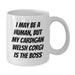 Funny Cardigan Welsh Corgi Dog Gifts for Men, White Coffee Mug, I May Be A Human But My Cardigan Welsh Corgi Is The Boss Birthday Unique Gifts from Friends - Additional