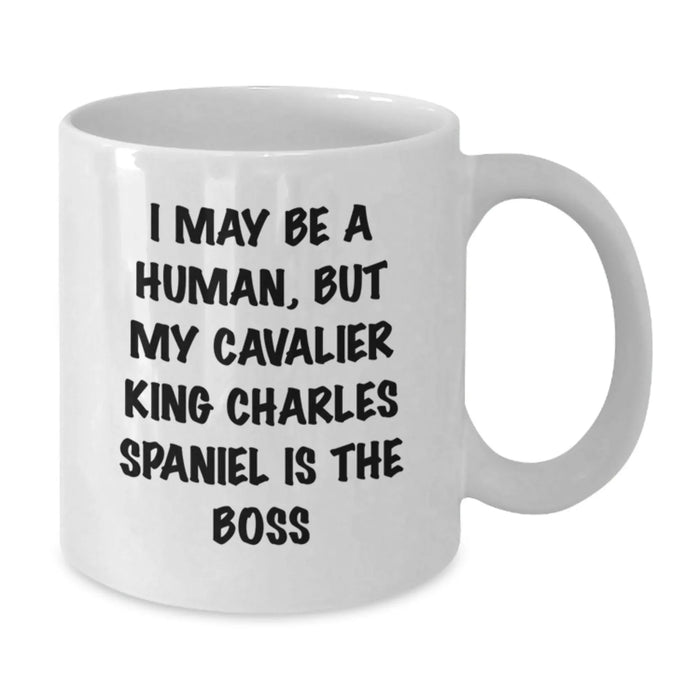 Funny Cavalier King Charles Spaniel Dog Gifts for Birthday, White Coffee Mug, I May Be A Human But My Cavalier King Charles Spaniel Is The Boss, Gifts from Friends to Family - Additional