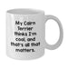Cairn Terrier Dog Lovers Funny White Coffee Mug Gifts from Friends and Family Birthday Unique Present - Additional