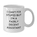 Funny Assistant Gifts for Men from Friends and Family - White Coffee Mug - 'I'm A Fairly Decent Assistant' Quote Christmas Unique Gifts - Additional