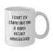 Funny Housekeeper Gifts - Gifts from Friends, Women, Coworkers - Valentine's Unique White Coffee Mug 'I Can't Fix Stupid But I'm A Fairly Decent Housekeeper' - Additional