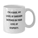 Funny Guide Gifts for Men - White Coffee Mug for Dad - Father's Day Unique Gifts from Family - Additional