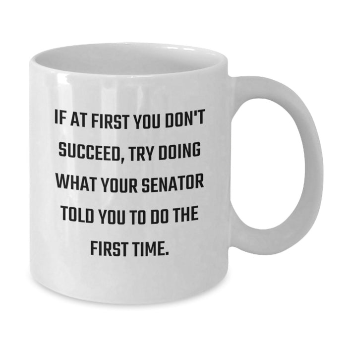 Senator Graduation Unique Gifts from Friends - Funny White Coffee Mug - If At First You Don't Succeed, Try Doing What Your Senator Told You To Do The First Time Senator Quote Gifts for Senator - Additional