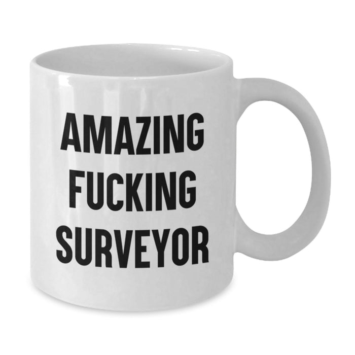 Funny Surveyor Gifts from Friends to Graduation Unique White Coffee Mugs with Amazing F--king Surveyor Quote, Made for Surveyor Lovers - Additional