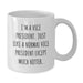 Vice President Funny Gifts from Friends for Graduation White Coffee Mug - 'I'm A Vice President. Just Like A Normal Vice President Except Much Hotter.' - Additional