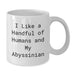 Abyssinian Cat Lovers Gifts from Family for Graduation Unique Occasion White Coffee Mug - Additional