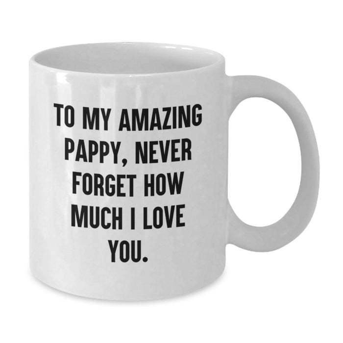 Funny Pappy Gifts - Inspirational Mug for Him, Unique Graduation Unique Gifts from Men to Pappy, White Coffee Mug with Quote 'To My Amazing Pappy, Never Forget...' - Additional
