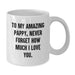 Funny Pappy Gifts - Inspirational Mug for Him, Unique Graduation Unique Gifts from Men to Pappy, White Coffee Mug with Quote 'To My Amazing Pappy, Never Forget...' - Additional