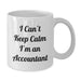 Funny Accountant Gifts from Friends - I Can't Keep Calm I'm An Accountant White Coffee Mugs for Christmas Unique Gifts - Additional