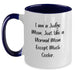 Funny Judge Mom Gifts from Family to Graduation Unique Gifts for Judge - Main