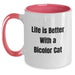 Bicolor Cat Love Funny Gifts from Friends for Birthday Unique Two Tone Coffee Mugs - Main