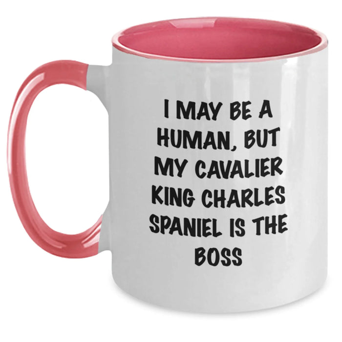 Funny Cavalier King Charles Spaniel Dog Birthday Unique Gifts from Family to Friends - Main
