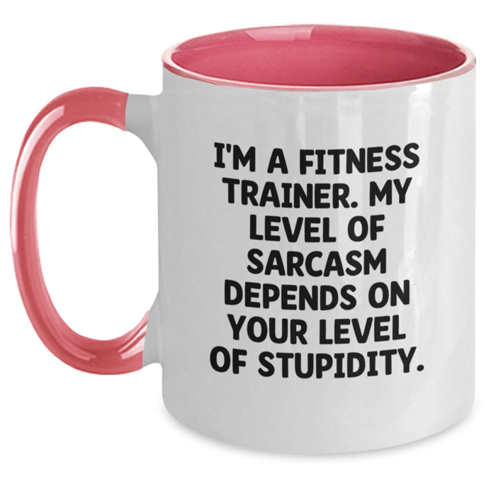 Fitness Trainer Humor Gifts from Men - Funny Quote Sarcasm Mug for Female Fitness Trainers on Mother's Day Unique Gifts - Main