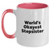 Funny Stepsister Gifts from Family, Unique Graduation Unique Gifts for Stepsister, Two Tone Coffee Mug with 'World's Okayest Stepsister' Quote, Perfect for Family Member, Friends or Coworkers - Main