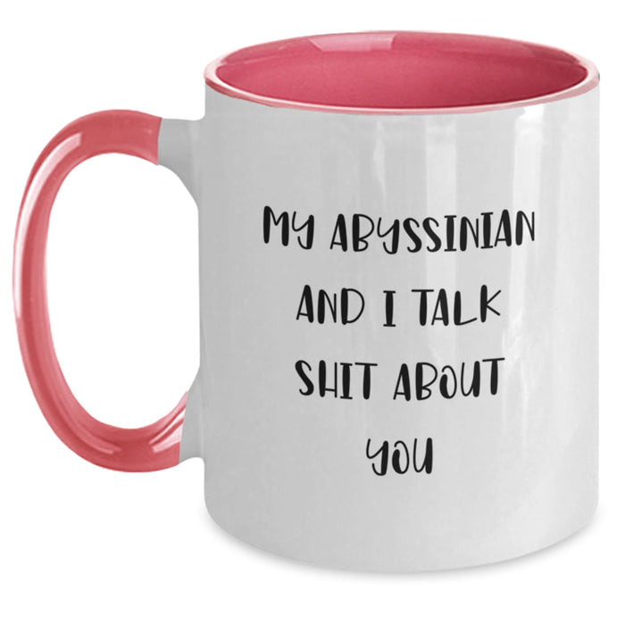 Abyssinian Cat Lovers Funny Gifts from Friends and Family for Graduation - My Abyssinian and I Talk Shit About You Two Tone Coffee Mug - Main