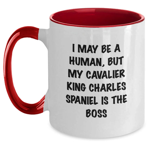 Funny Cavalier King Charles Spaniel Dog Birthday Unique Gifts from Family to Friends - Main