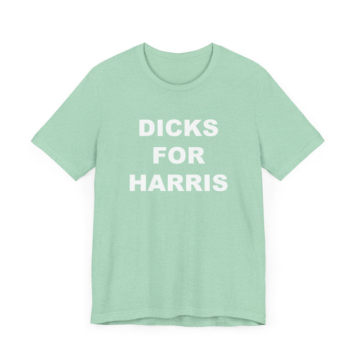 Dicks for Kamala, Funny Kamala Shirt, Awesome Republican Shirt, Perfect Kamala Gift, Dick Cheney